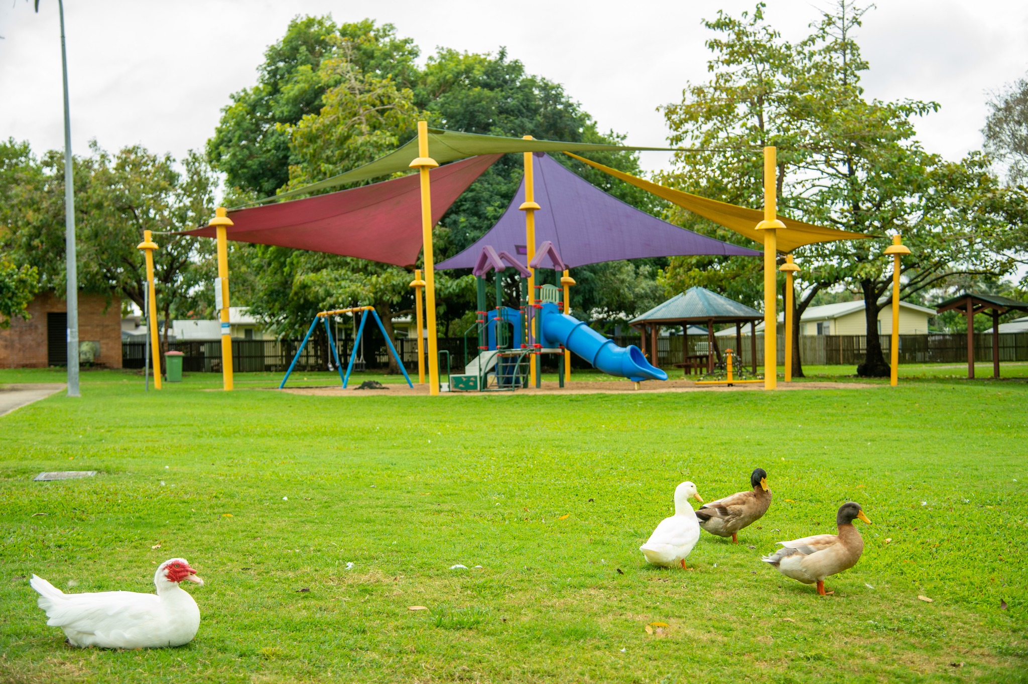 WILLETTS ROAD PLAYGROUND closed for FACELIFT Mackay Whitsunday LIfe